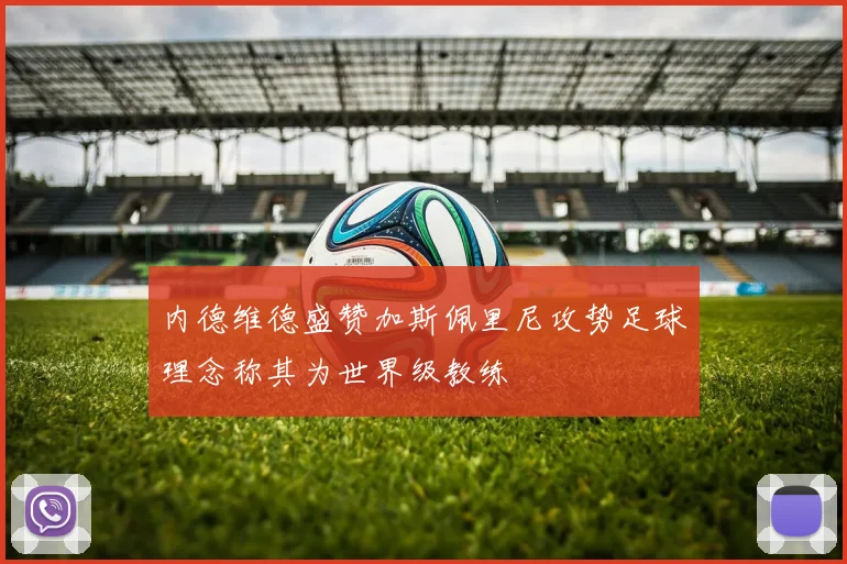 内德维德盛赞加斯佩里尼攻势足球理念称其为世界级教练