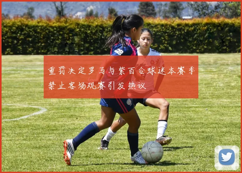 重罚决定罗马与紫百合球迷本赛季禁止客场观赛引发热议