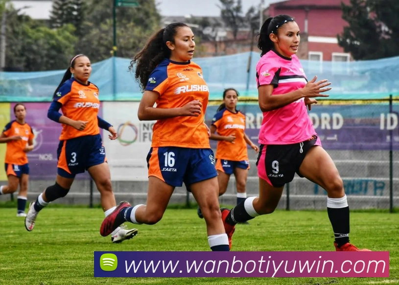 万博体育平台生态图